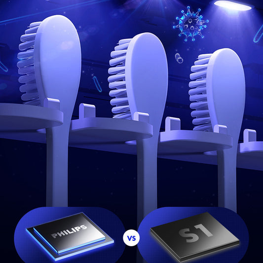 Wall-mounted UV Smart Toothbrush Sterilizer | Witty Haus & Co